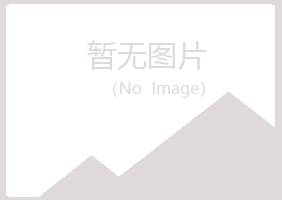 偃师莫爱冶炼有限公司